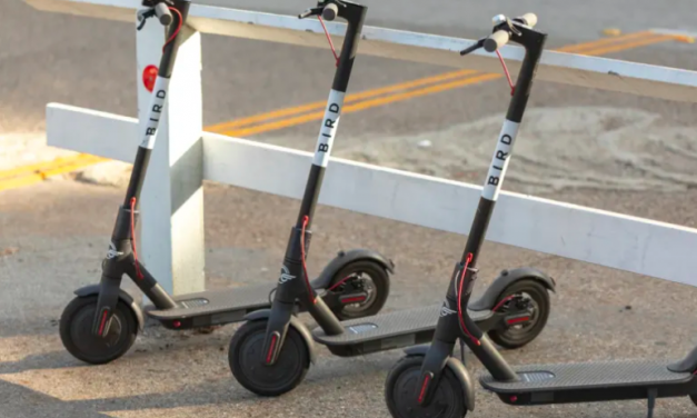 Future of mobility urban strategy launch: RAC reaction