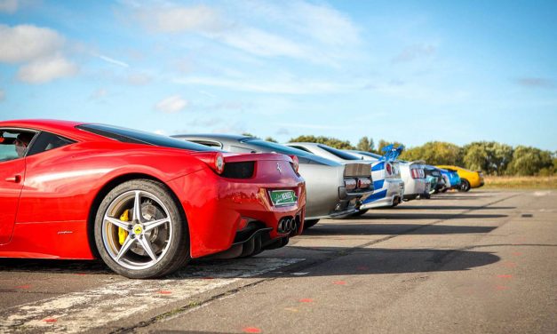 HENS ‘OVERTAKING’ STAGS ON RACE TRACK ACTION