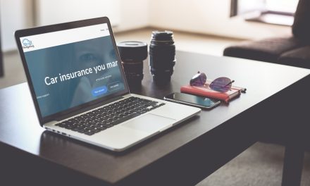 Online car insurance company, Hedgehog, teams up with price comparison website, Quotezone.co.uk