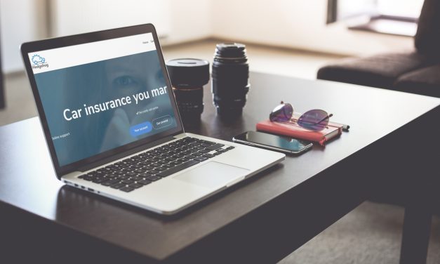 Online car insurance company, Hedgehog, teams up with price comparison website, Quotezone.co.uk