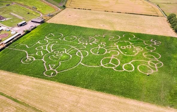 A SHAUN THE SHEEP MOVIE – DRONE CAPTURES GIANT CROP CIRCLE