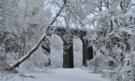2019 Merthyr photography competition opens for entries