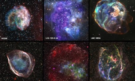 Combing Through The “X-Ray Files”