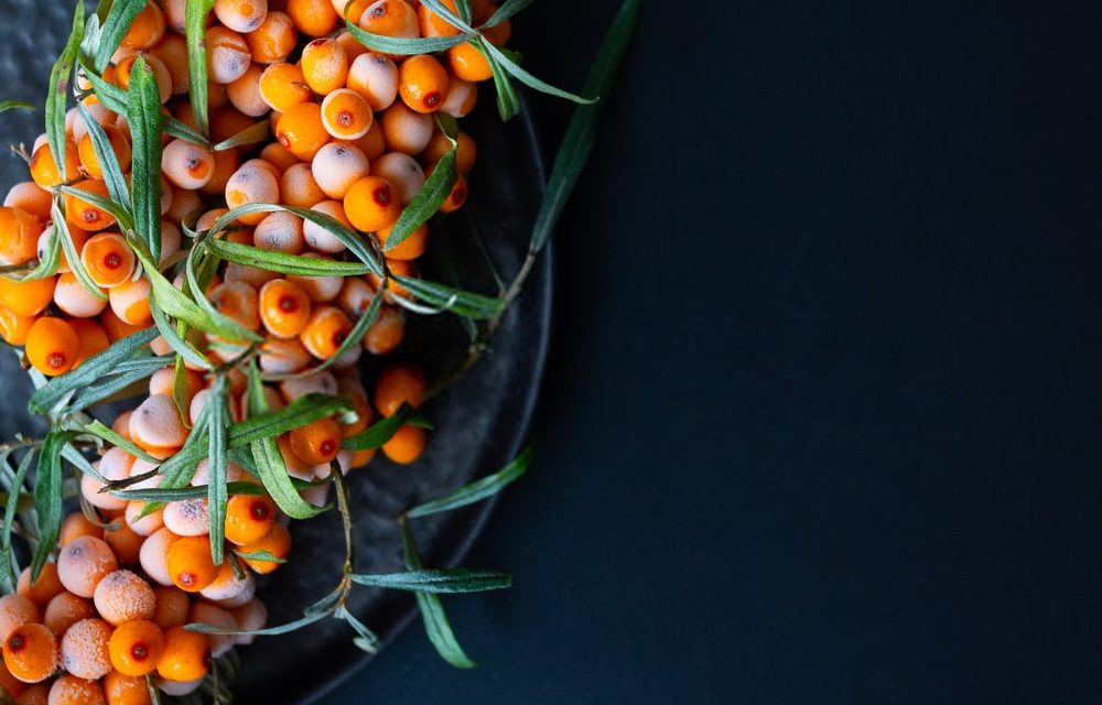 10 Valuable Health Benefits of Sea Buckthorn