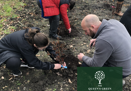 Lovell teams up with local primary school to plant 100 trees in Merthyr Vale