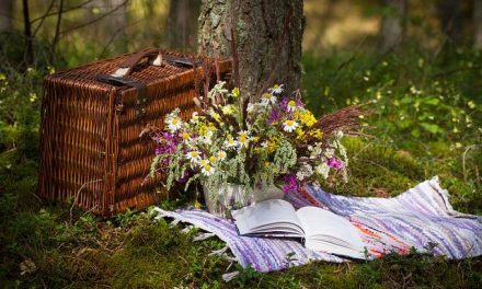 How to Host the Perfect Family Picnic