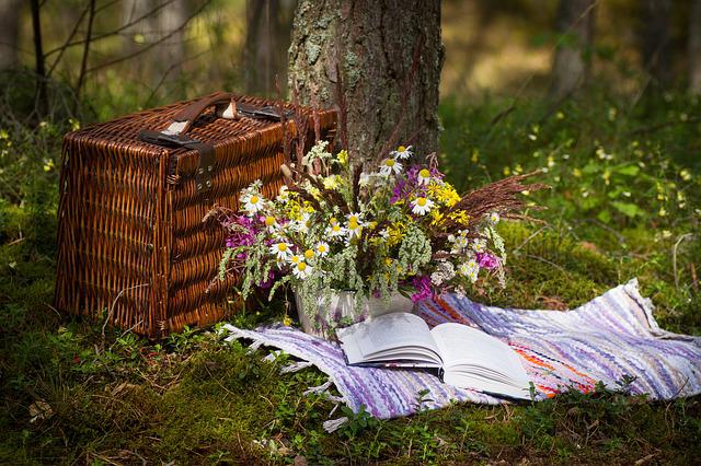How to Host the Perfect Family Picnic
