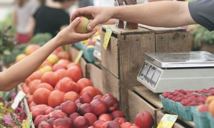 Bringing Your Side Hustle to Life at the Local Market