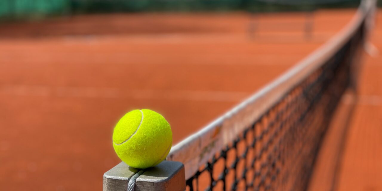 WIMBLE-DUMB: A QUARTER OF SPORTY BRITS CONVINCED THEY’D WIN A POINT AGAINST SERENA WILLIAMS… AND 17% SAY THEY’D HIT A WINNER AGAINST ANDY MURRAY