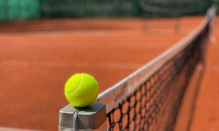 WIMBLE-DUMB: A QUARTER OF SPORTY BRITS CONVINCED THEY’D WIN A POINT AGAINST SERENA WILLIAMS… AND 17% SAY THEY’D HIT A WINNER AGAINST ANDY MURRAY