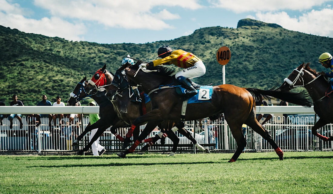 The Horse Racing Courses in Wales