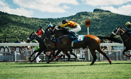 The Horse Racing Courses in Wales