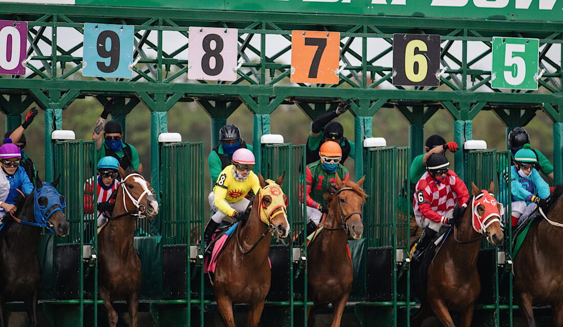The Horse Racing Courses in South East England