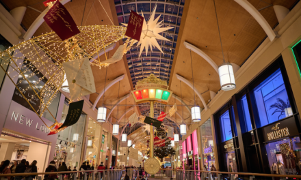 St David’s unveils new captivating Christmas scheme
