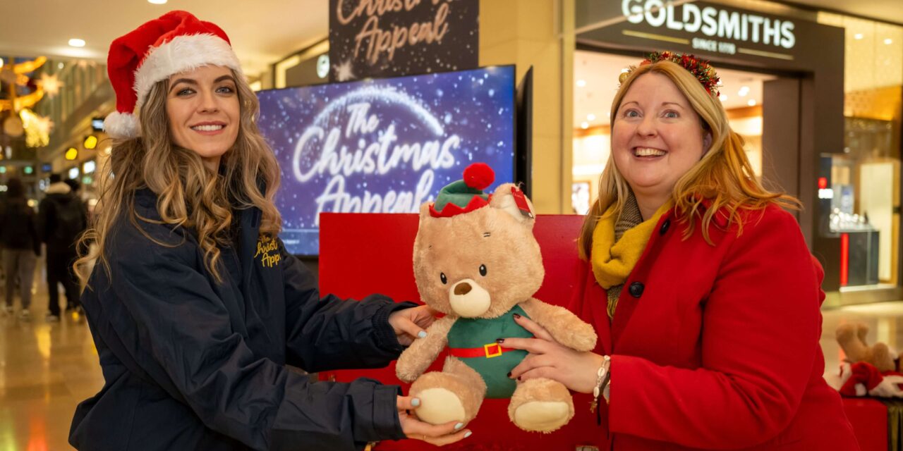 Christmas Appeal Supporting Local Organisations Returns to St David’s