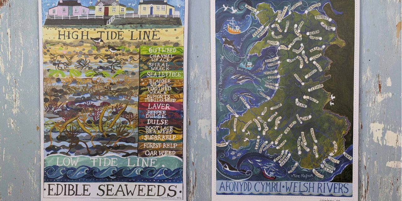 Driftwood Designs launches two new illustrated wall charts featuring edible seaweed and Welsh Rivers
