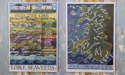 Driftwood Designs launches two new illustrated wall charts featuring edible seaweed and Welsh Rivers