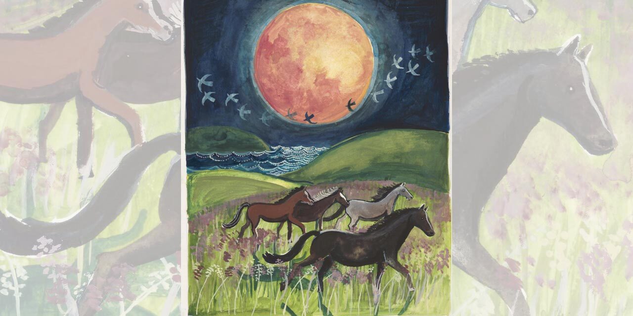 Have your art and photographs featured in the Lluest Christmas Cards or 2025 Calendar