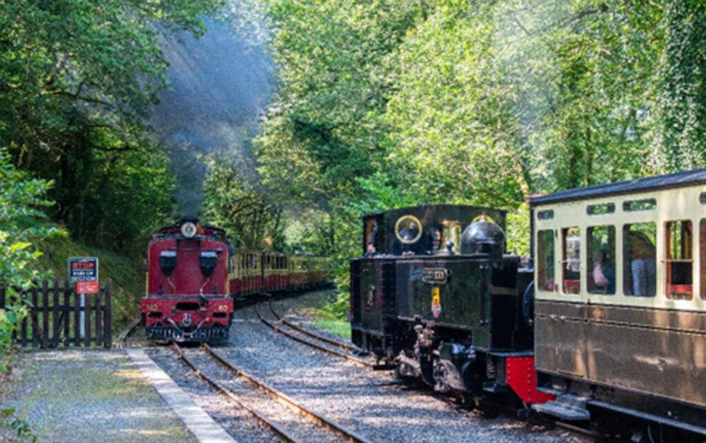 Vale of Rheidol Railway Festival of Steam – August Bank Holiday weekend
