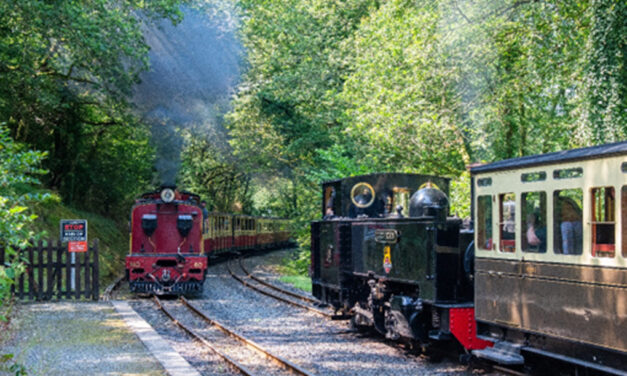 Vale of Rheidol Railway Festival of Steam – August Bank Holiday weekend