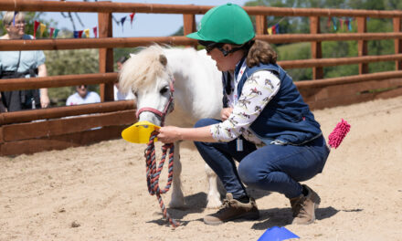 The Lluest Horse and Pony Trust – Summer Open Day and Dog Show on Sunday 8th September 2024