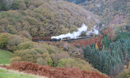 Ceredigion residents can now enjoy a trip on the iconic Vale of Rheidol Railway for Half Price – until Nov. 3rd