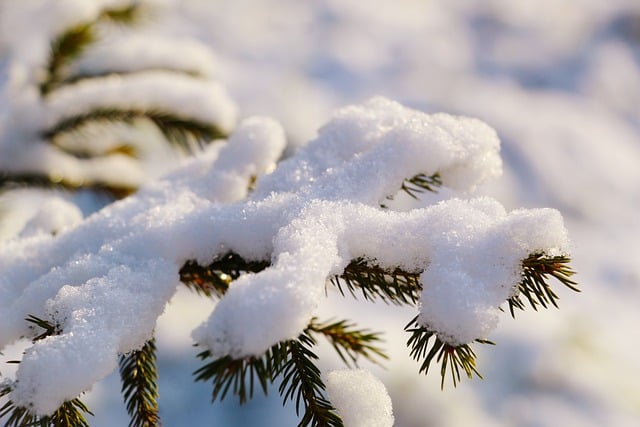 Severe Weather and Travel Disruptions Across Wales