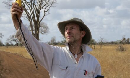 World expert on wildfires to give public talk in Swansea