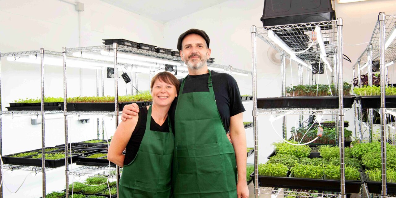 The growth of micro greens: Start Up Loan helps couple harvest their sustainable dream of growing nutritious, miniature superfood from farm to fork