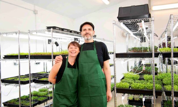 The growth of micro greens: Start Up Loan helps couple harvest their sustainable dream of growing nutritious, miniature superfood from farm to fork