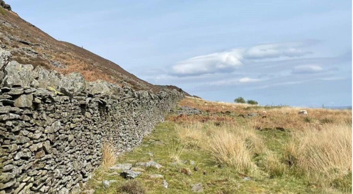 Fifty acres of land in Swansea Valley up for auction with £150,000 price tag