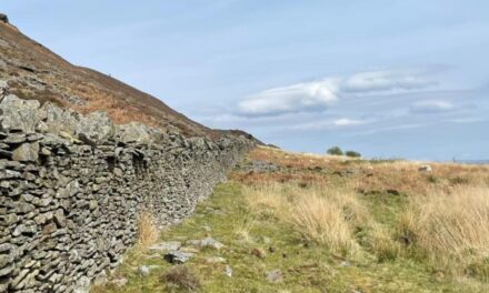 Fifty acres of land in Swansea Valley up for auction with £150,000 price tag