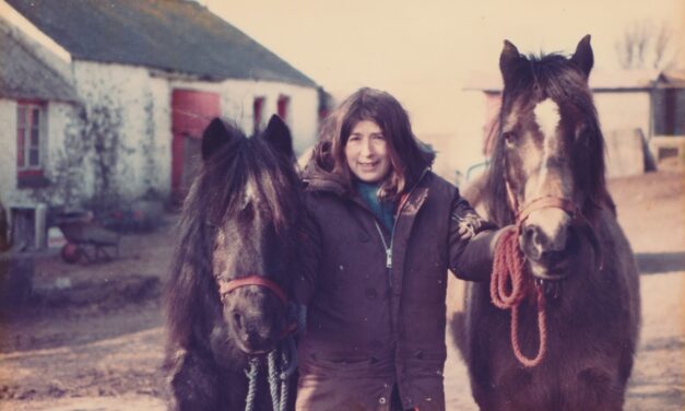 ‘Ginny’s Story’ – book launched to coincide with 40th anniversary of the Lluest Horse and Pony Trust