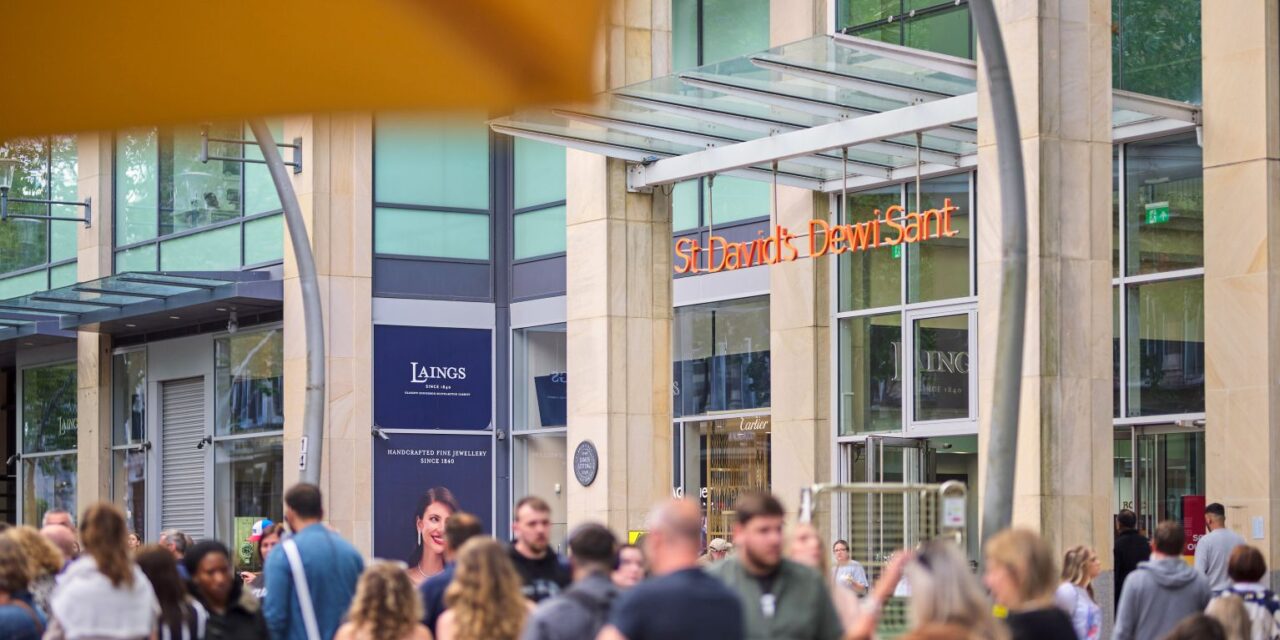 Free family fun with favourite characters at St David’s this summer