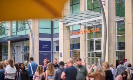 Free family fun with favourite characters at St David’s this summer