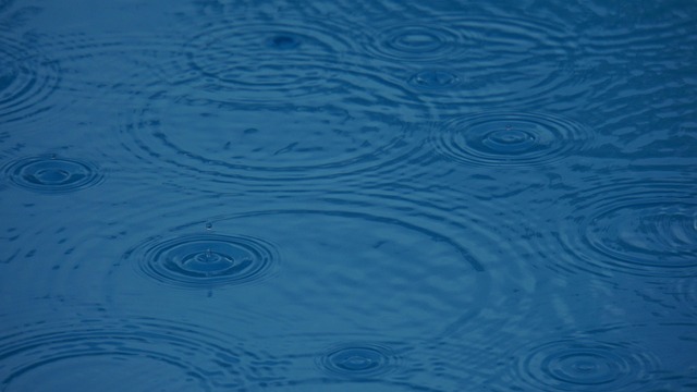 Photo by Mylene2401 rain photo