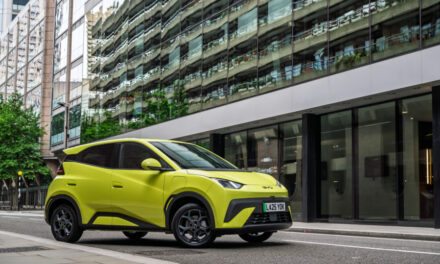 BYD DOLPHIN SURF scores maximum five-star Euro NCAP safety rating