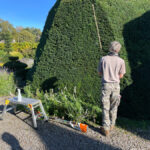 Head to Levens Hall and Gardens for the Haircut 100 Experience