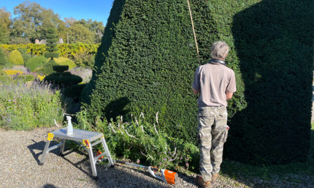Head to Levens Hall and Gardens for the Haircut 100 Experience