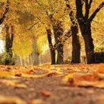 UK Weather Forecast for Tuesday 28 October 2025: A Brighter, Milder Day with Some Late Cloud