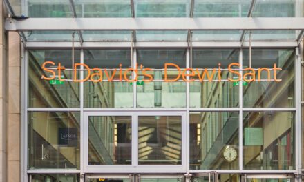 St David’s seeks accessibility input this Purple Tuesday