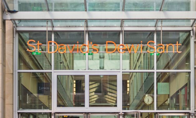 St David’s seeks accessibility input this Purple Tuesday