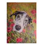 How Rescue Dog Inspired Artist