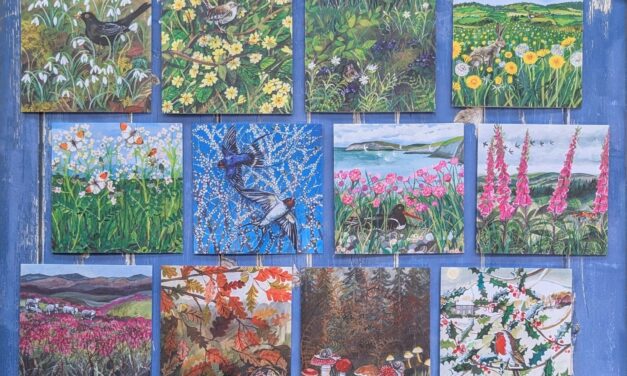 Hedgerow greetings cards bundle with a beautiful, seasonal illustration for every month of the year