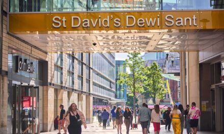 Summer of Free Character Appearances at St David’s Cardiff