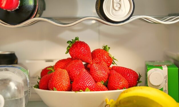 Expert warns which grocery staples need to go in the fridge when temperatures hit over 25°C